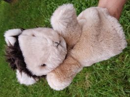 Handpuppe Löwe "SUZY QUALITY" / NEU