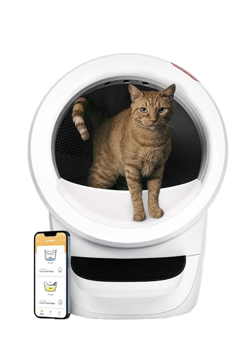 WC: Katzenklo Litter-Robot 4 weiss – Usato da Frick venduto da Tara68