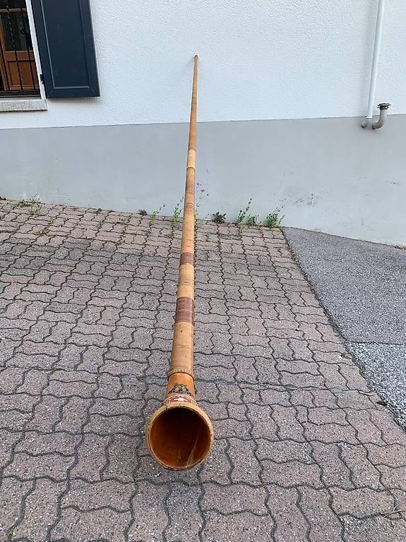 Strumenti musicali: Cor des alpes – Usato da Pully venduto da ale_5phd 1