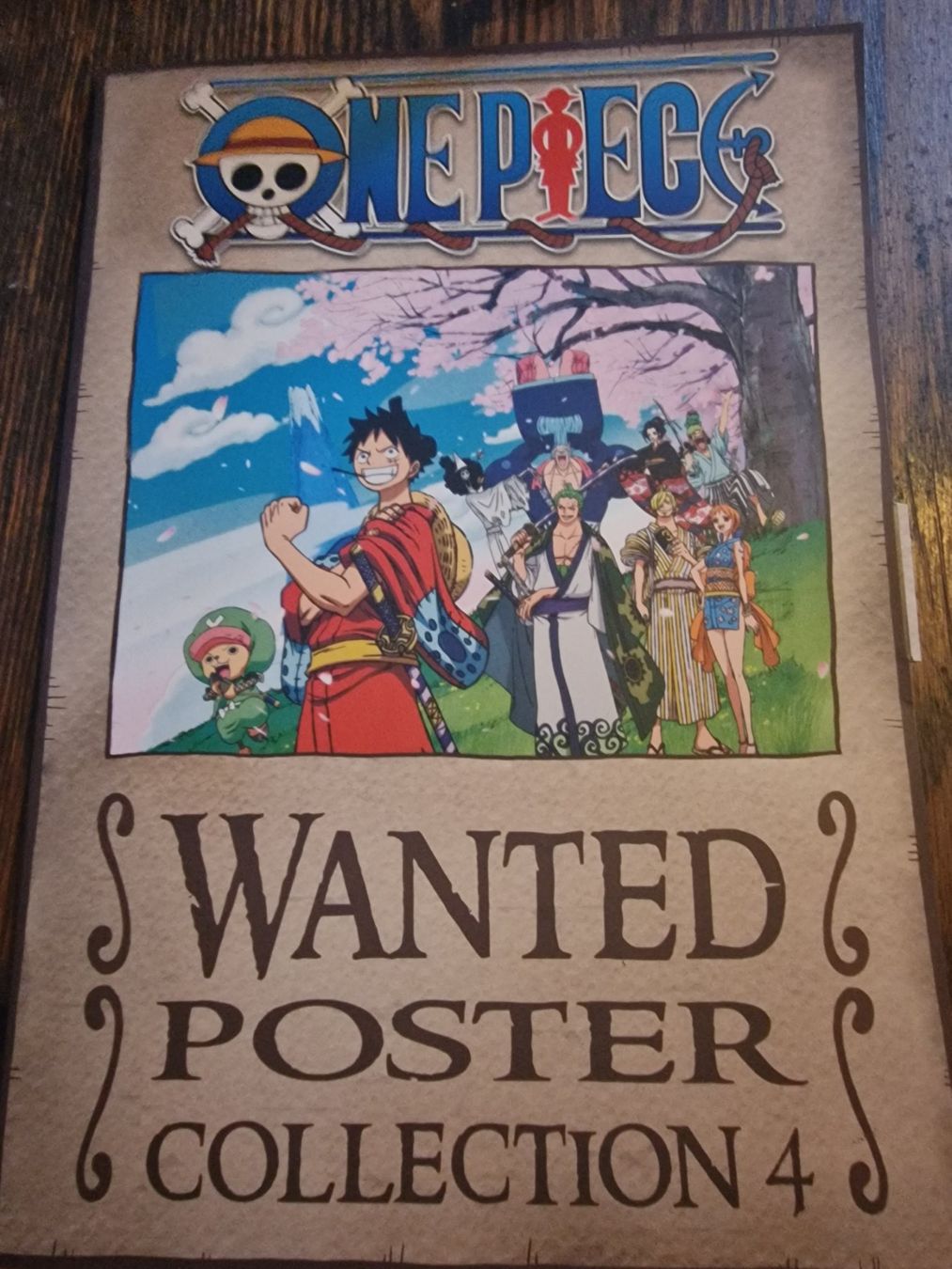 Poster & Bilder: One Piece Wanted Poster 9 stck – Gebraucht aus wünnewil von mar_f2z8