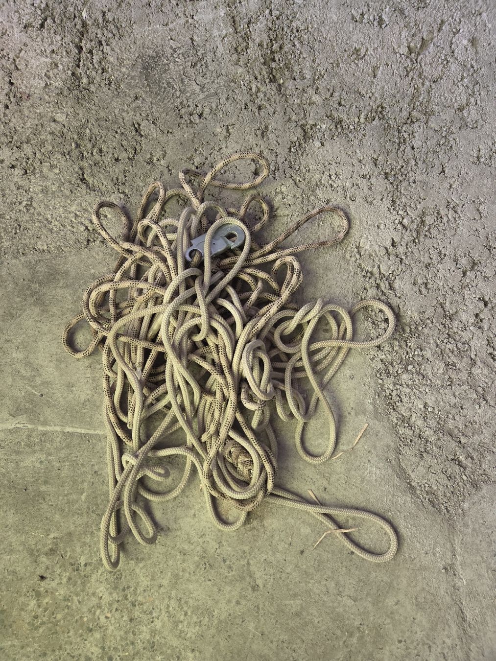 Attrezzatura da arrampicata: Sicherheitsgurt mit Seil – Usato da Anglikon venduto da Bieterkampf 1
