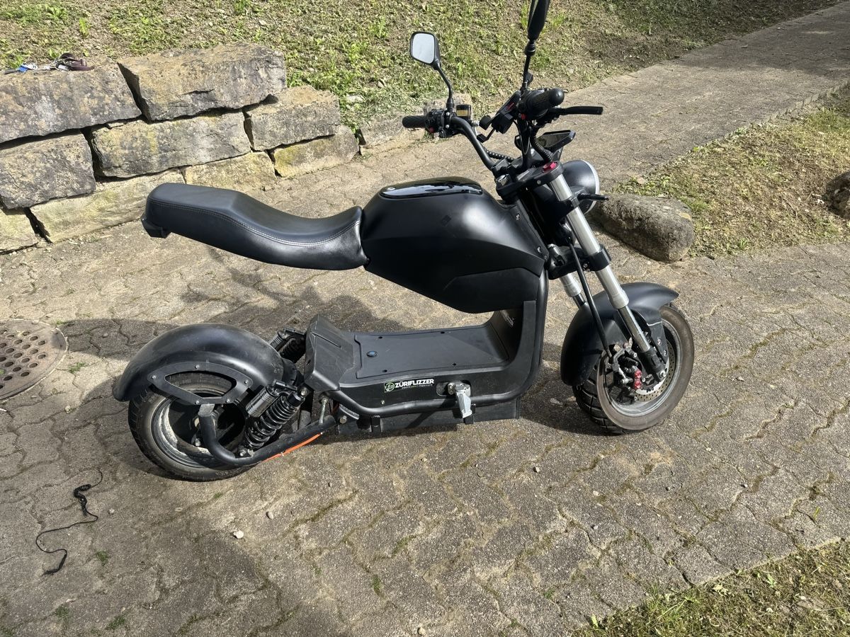 Züriflizzer Scooter: City Max RS – Usato da Rudolfstetten venduto da Franko84 2
