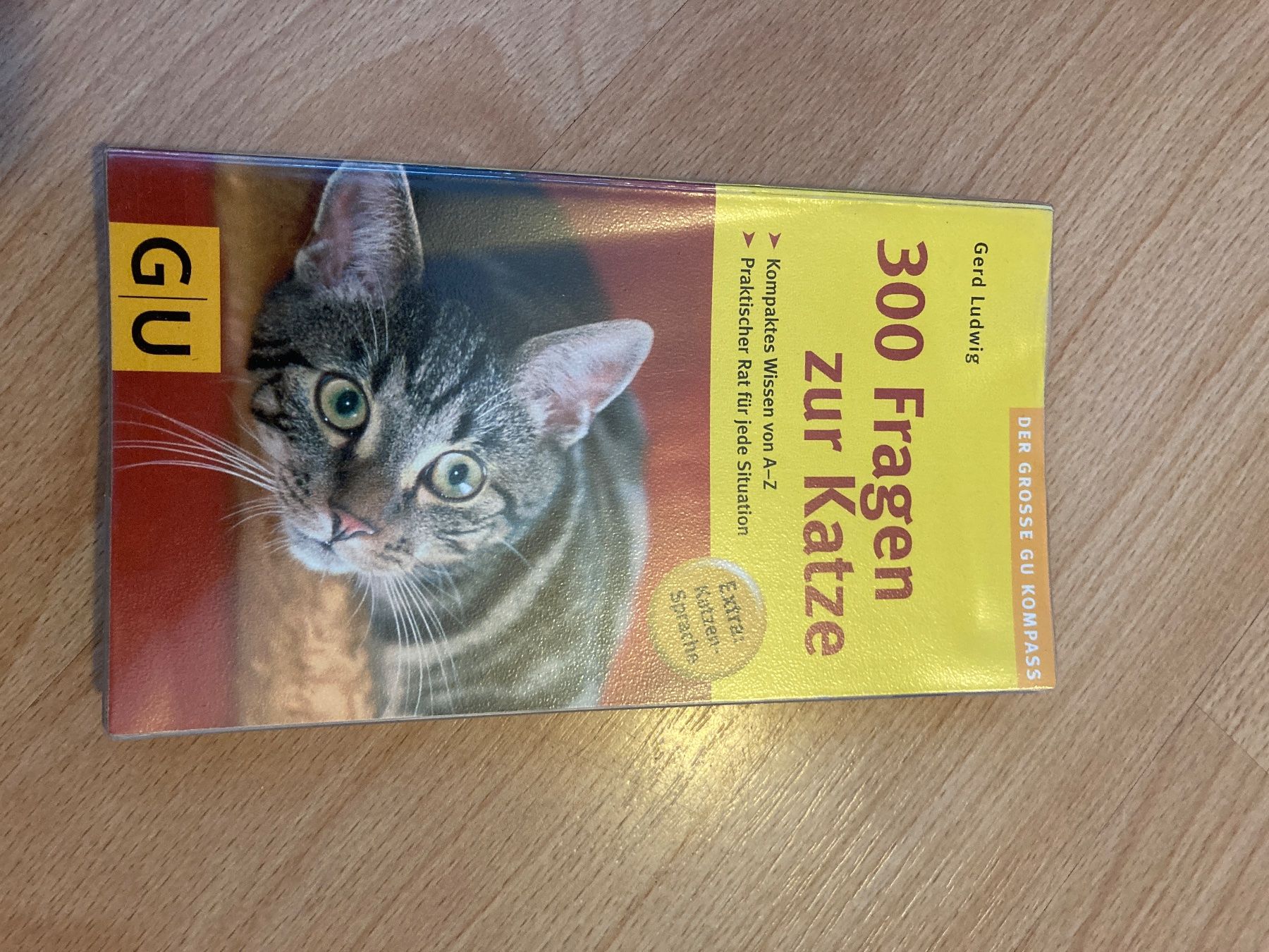 Libri: Ratgeber Katze – Usato da Schlattingen venduto da fernfen