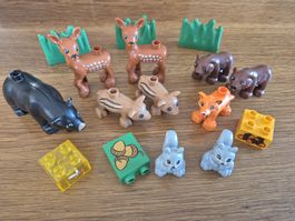Duplo Waldtiere Set (Y373)