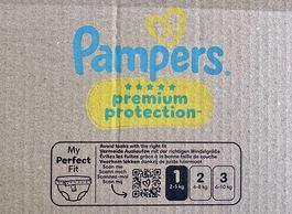 Pampers Premium Protection 1 - Box of 250 - new // neu 