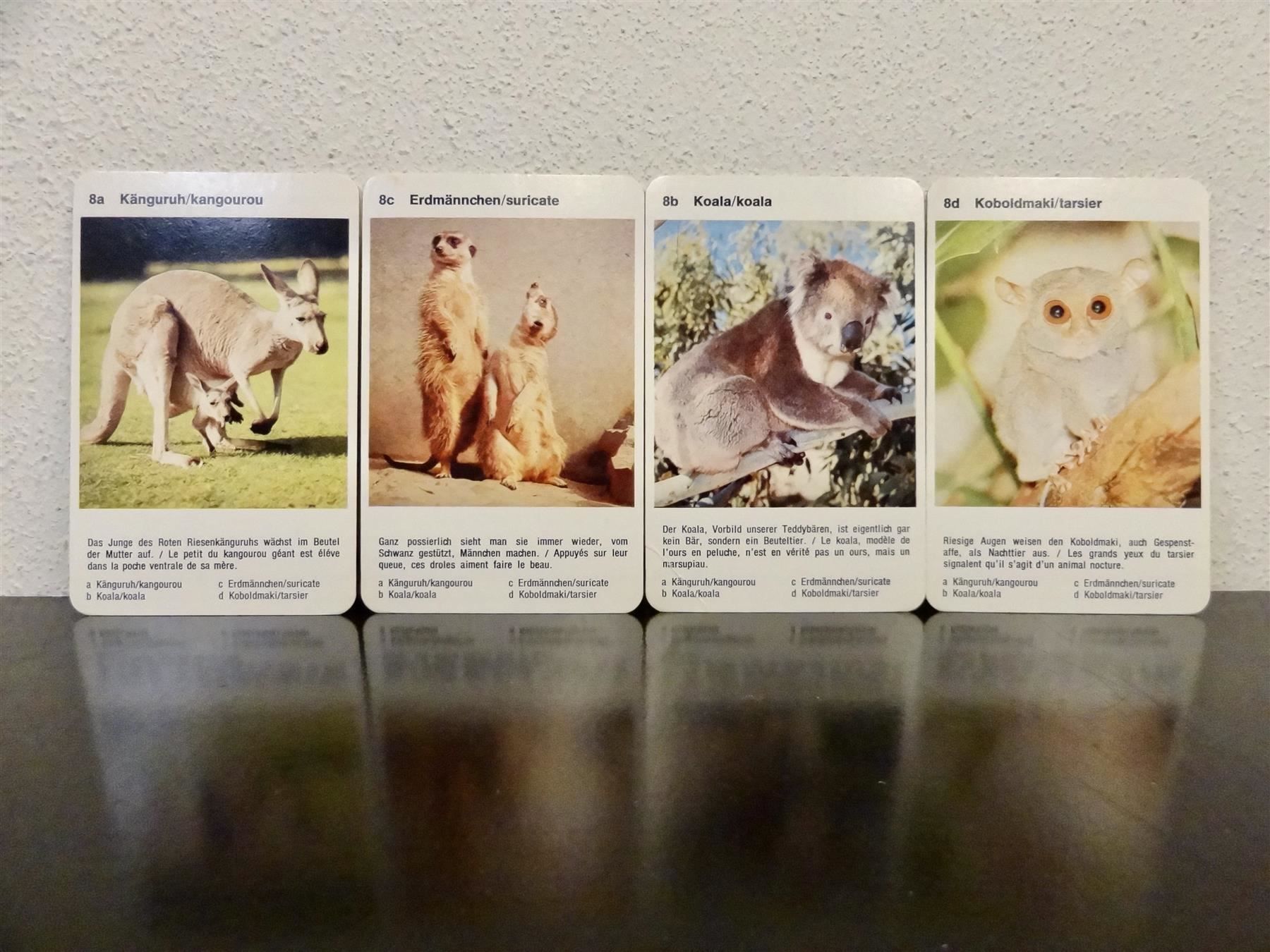 Giochi: Quartett TIER-QUARTETT TIERE IM ZOO – Usato da Kerzers venduto da wisaundso 8
