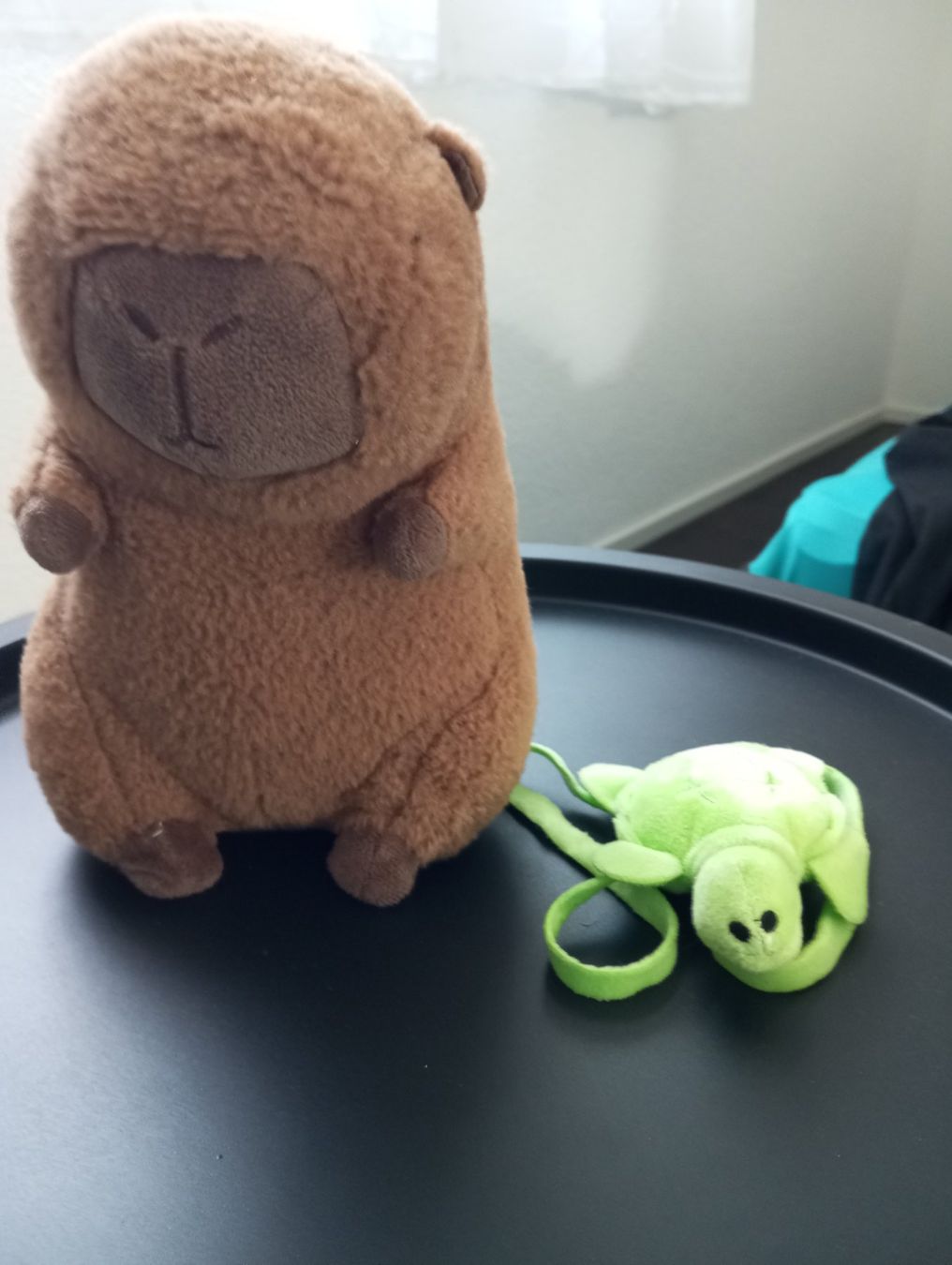 Spielzeuge: Baby Capybara – Gebraucht aus Amriswil von cbe_cr6q