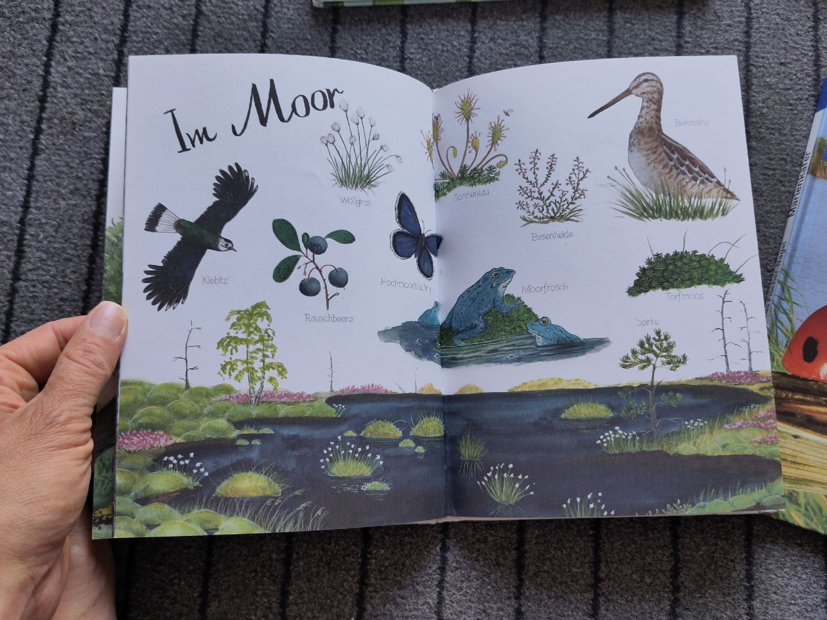 Livres: Bücherpaket Natur & Tiere  – D'occasion à Dettighofen Lengw. par mai_75wt 5