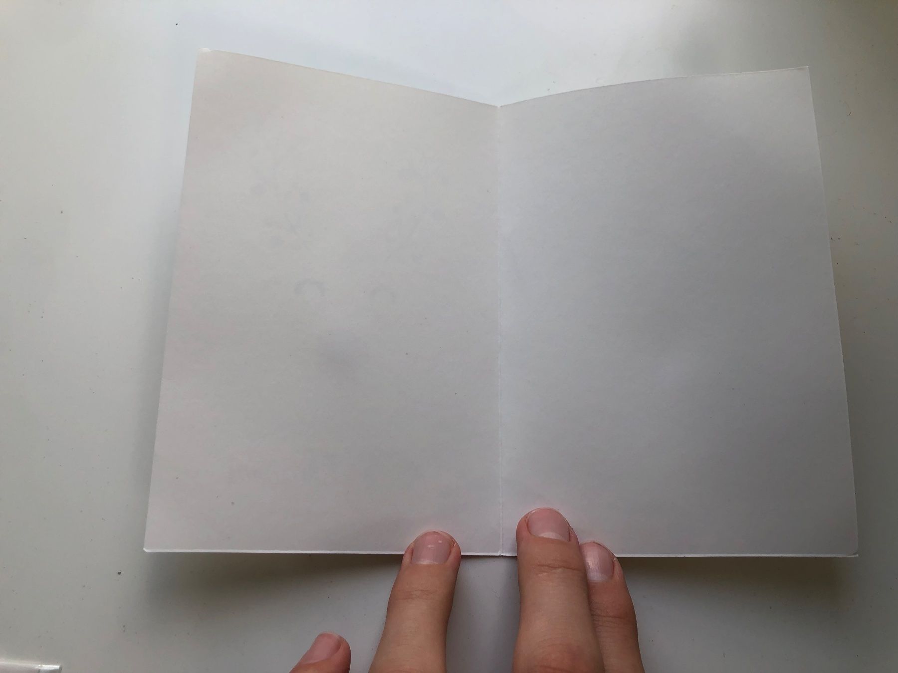 Cartoline: Weihnachtskarte mit Wollnasentier – Nuovo e nell'imballaggio originale da Wettingen venduto da Chnoelleli 2