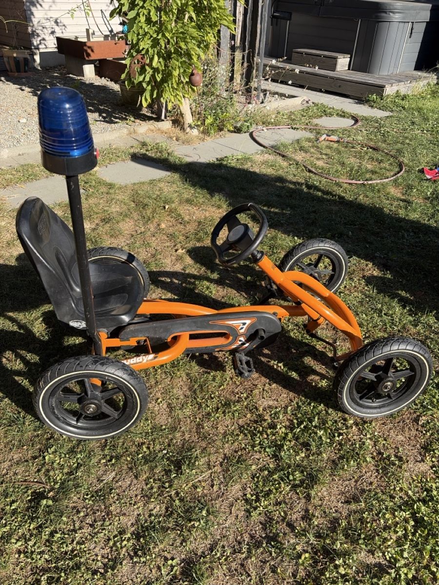 Veicoli per bambini: Berg Buddy Gokart  – Usato da Hochdorf venduto da cat_prq7 1