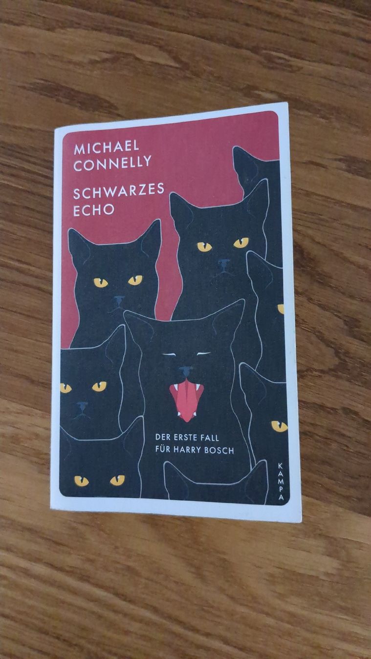Libri: Krimi - Schwarzes Echo von Michael Connelly – Nuovo (secondo la descrizione) da Zürich venduto da NaomiManon