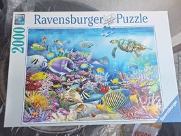 Ravensburger Puzzle 2000 Teile Unterwasserwelt