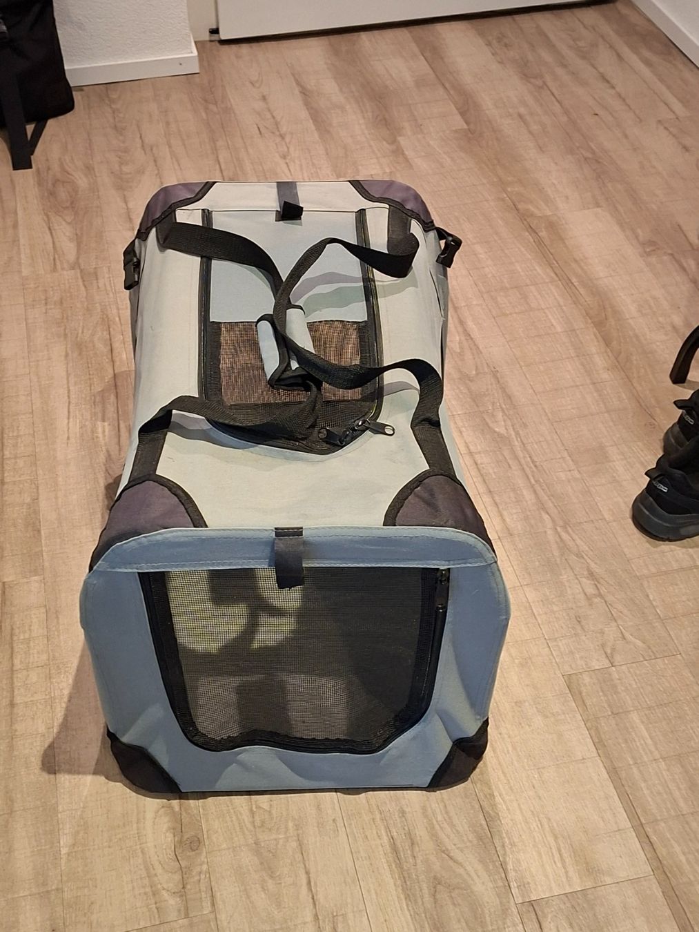 Altro in Decorazioni & Accessori: Hundebox – Usato da Kreuzlingen venduto da eli_6hdn