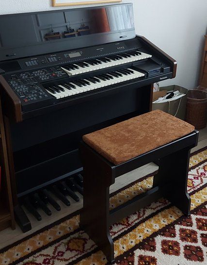 Strumenti musicali: Technics - Orgel SX-EX 25 mit Orgelbank – Usato da Einsiedeln venduto da patty01