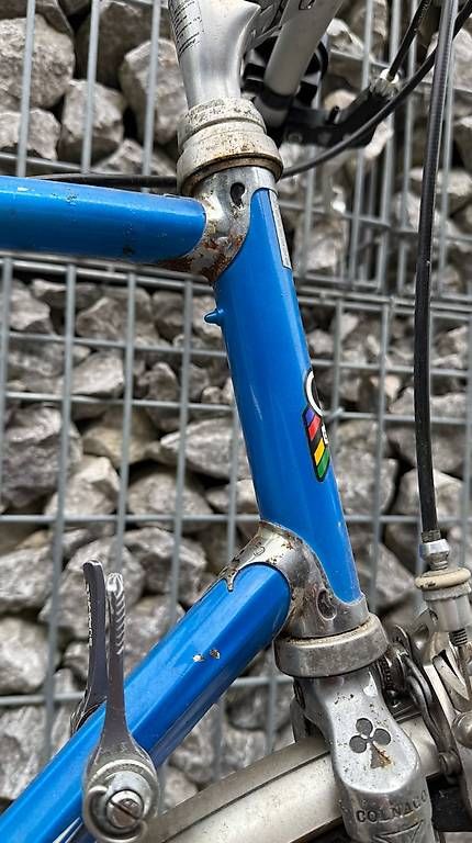 Colnago Biciclette: Colnago Rennrad - ein Klassiker! – Usato da Wichtrach venduto da chrubischweiz 2
