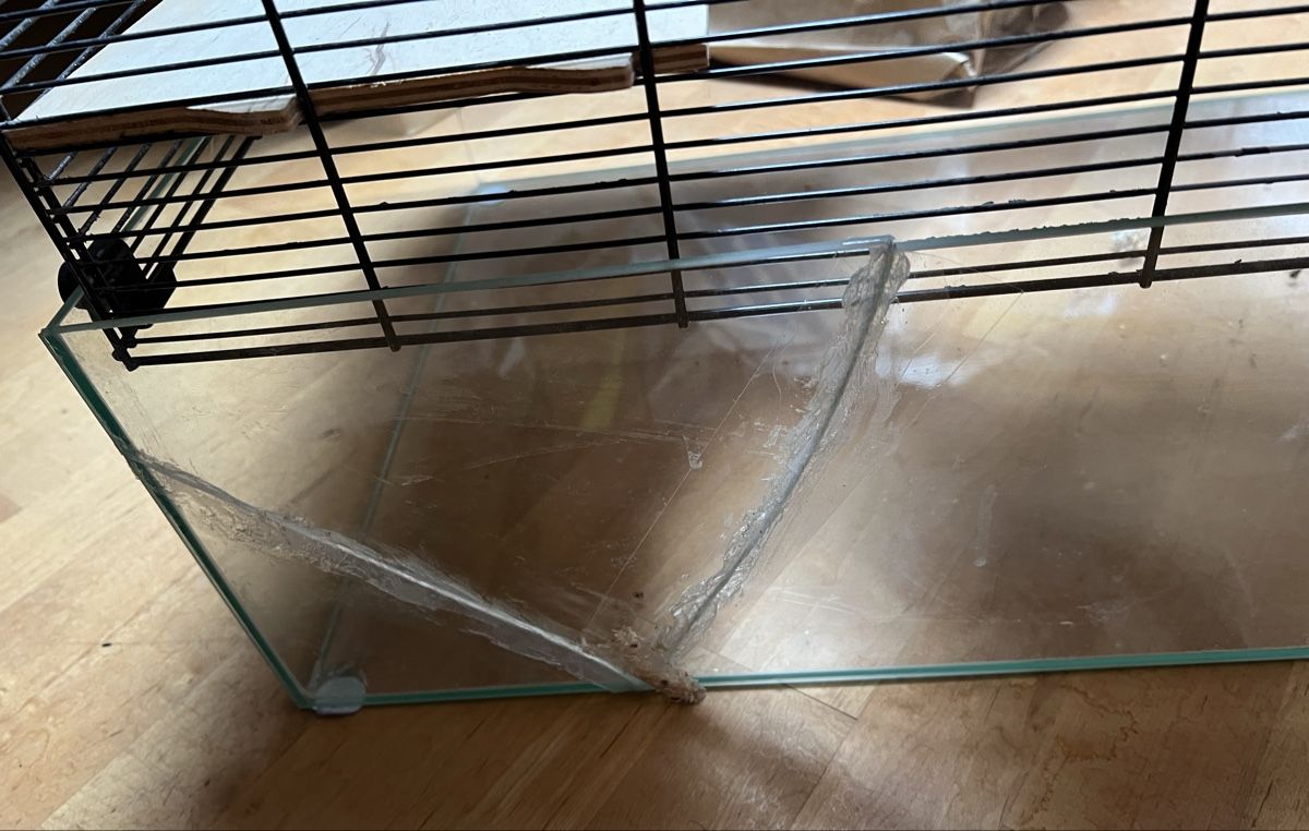 Cages, transport & sécurité: Hamsterkäfig – D'occasion à Grüningen par jomasa 9