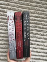 Empire of Sins and Soul Trilogie - Beril Kehribar
