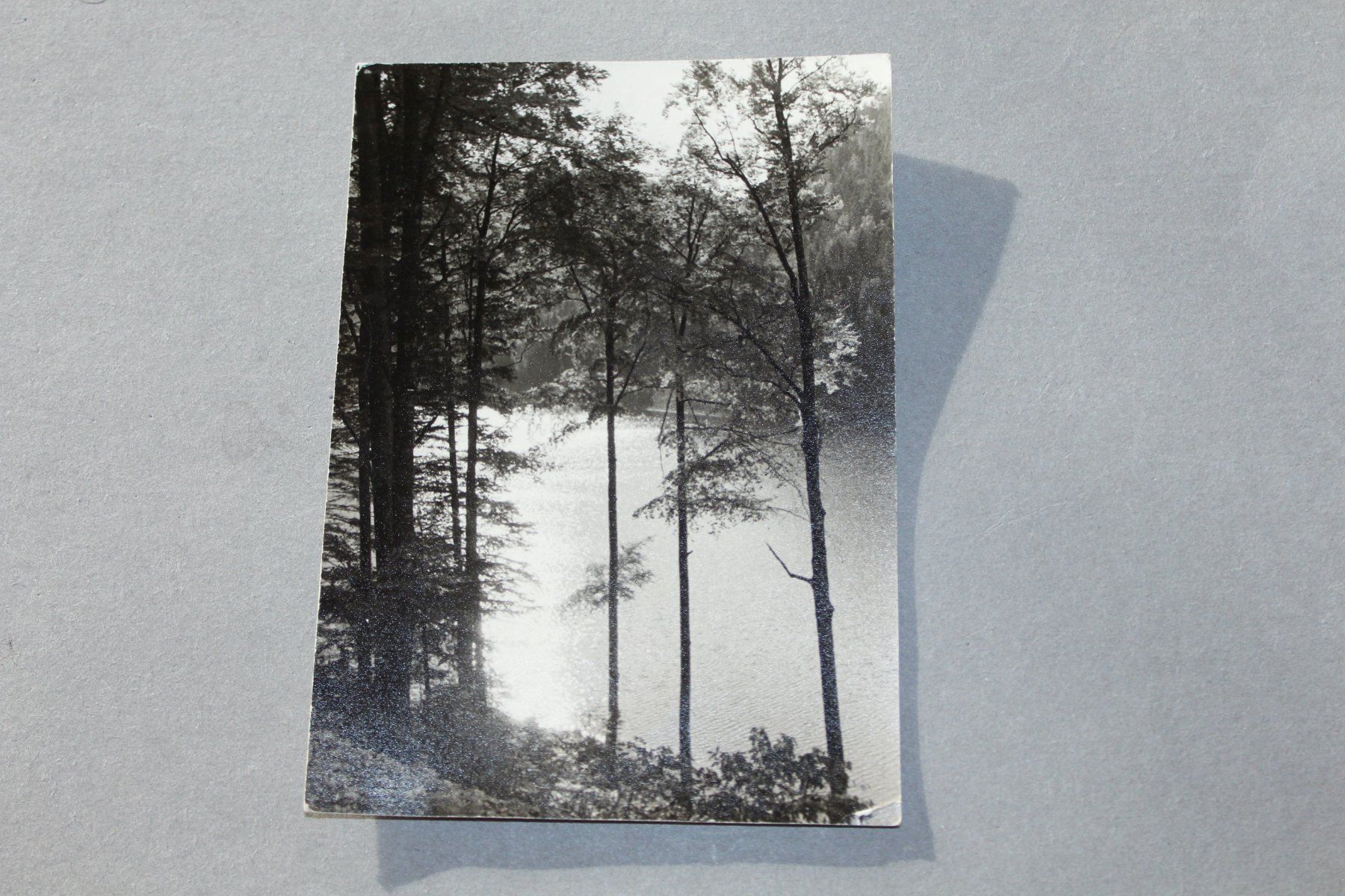 Ansichtskarten: Alte Ansichtskarte gestemp.1956 – Gebraucht aus Kriens von Wolly85 1