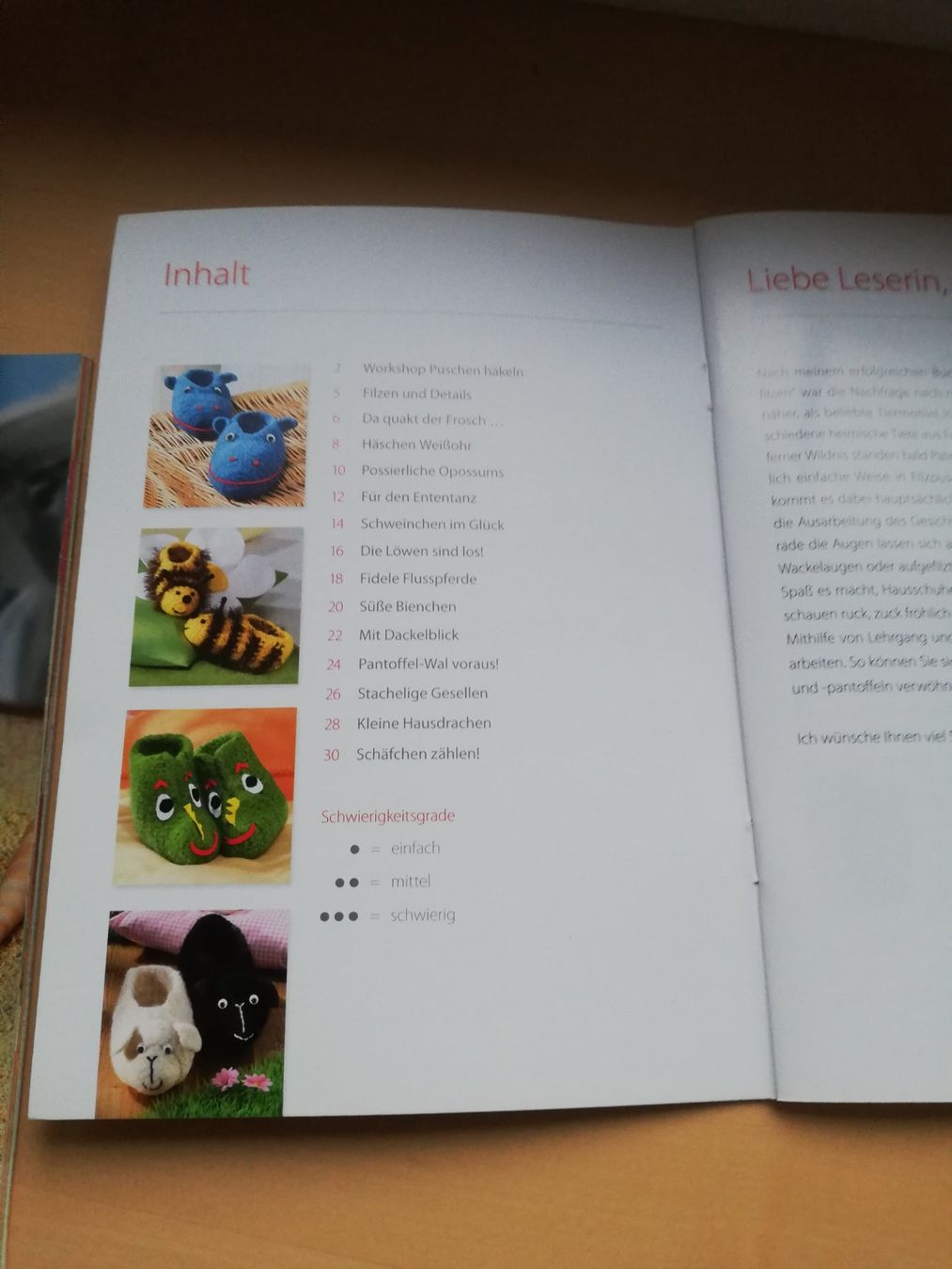 Libri: 2 Hefte Babyschuhe häkeln und stricken – Usato da Abtwil SG venduto da Tonisberg 2