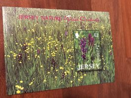 Jersey Natur Wild Orchideen Postkarte, Top Zustand!