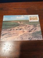 Carte postale illustrée ancienne rare - Afrique du Sud 57