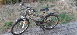 Velo 24 Zoll