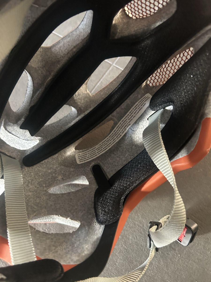 Alpina Caschi: Alpina Velo Helm – Nuovo (secondo la descrizione) da Itingen venduto da murmelis003 4