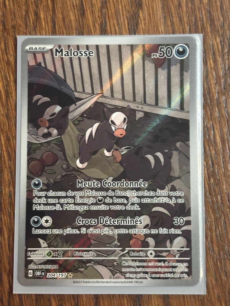 Pokémon Carte collezionabili: Carte Pokémon MOLOSSE obf 204 fr – Nuovo (secondo la descrizione) da lausanne venduto da helderj