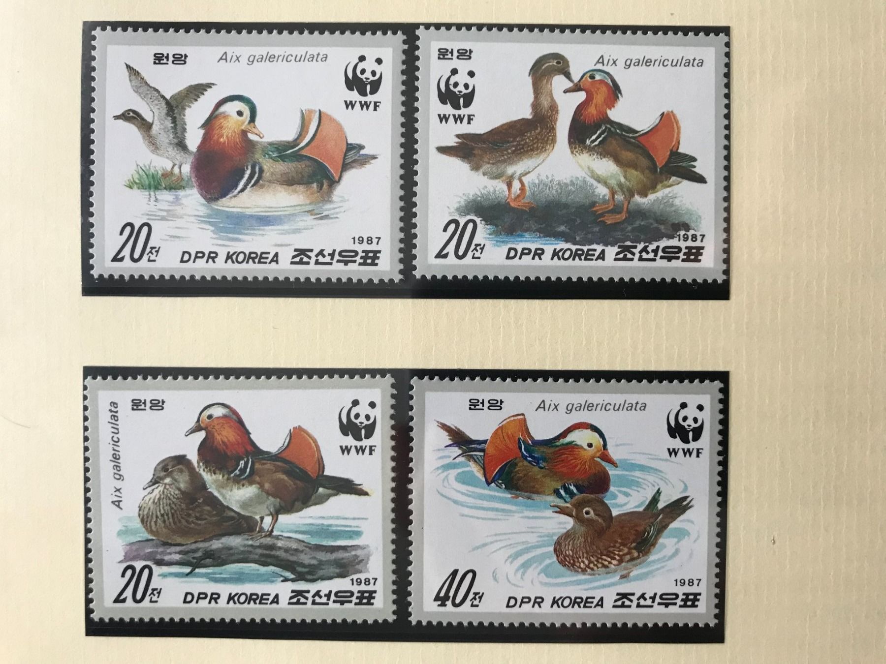 Tutti i francobolli: WWF Korea 1987 Mandarinente Satz postfrisch – Nuovo (secondo la descrizione) da Liestal venduto da schnueps