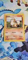 Fukano 28/102 Base Set DE