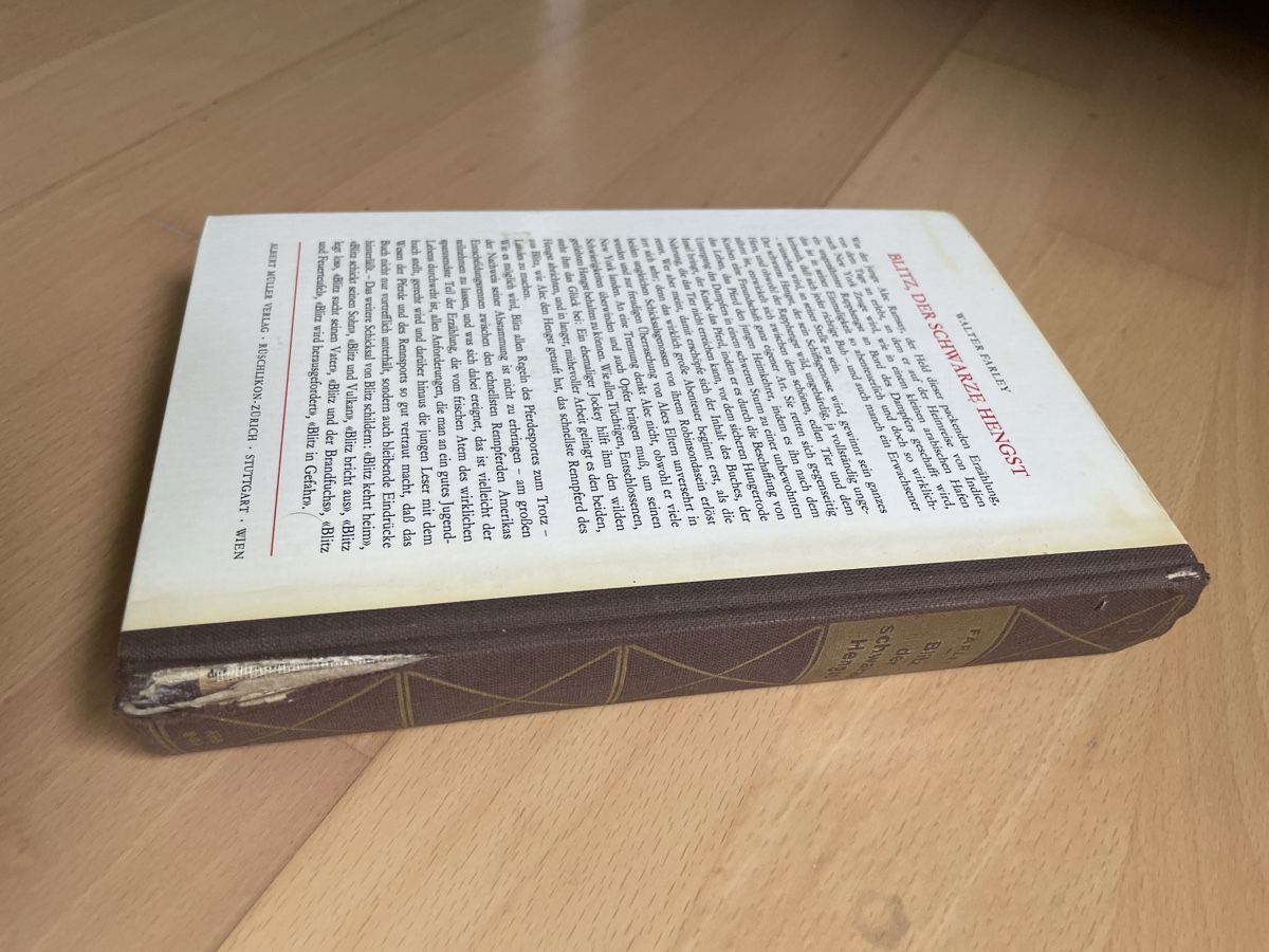 Bücher: Blitz Bücher, Band 1 und Band 4 – Gebraucht aus Turbenthal von rosen17 5