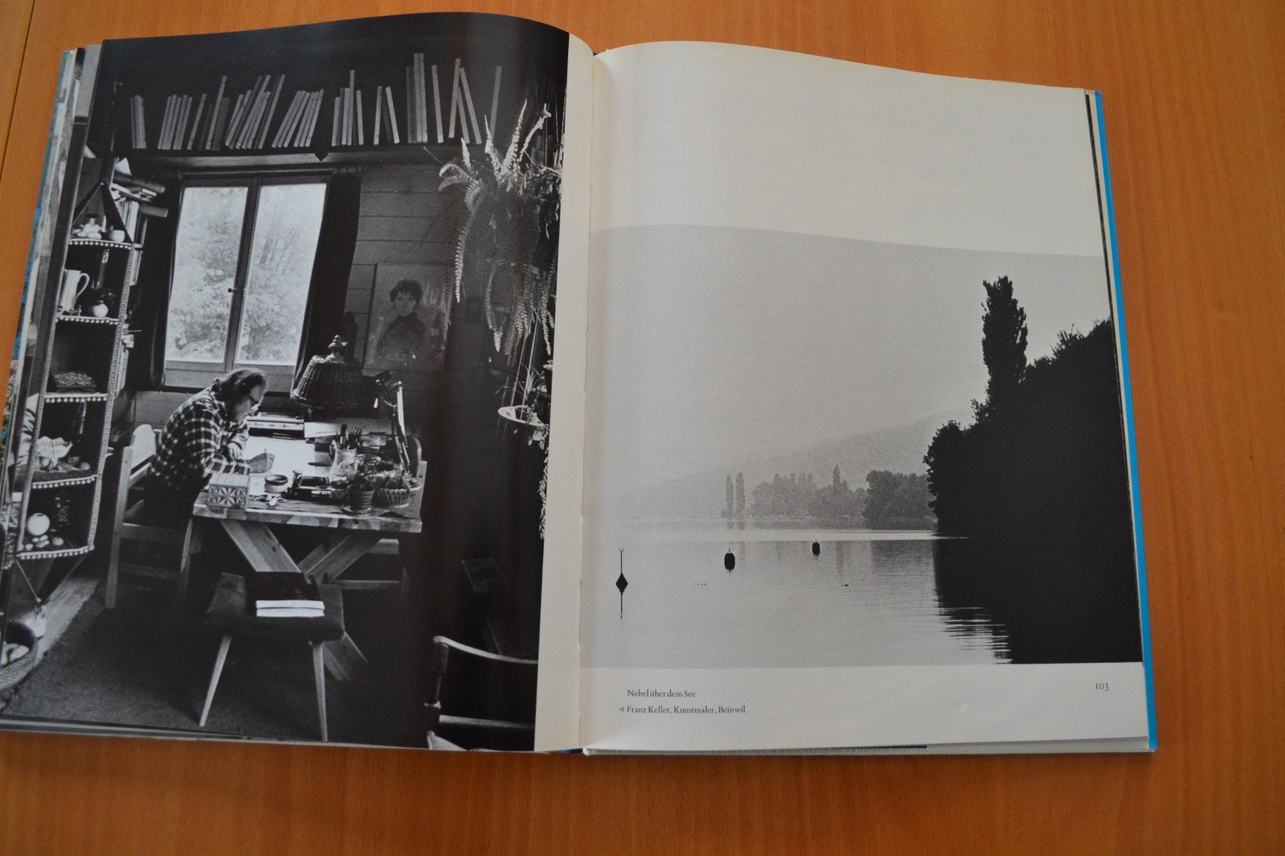 Libri: Seetal Hallwilersee mit 132 Seiten – Usato da Beinwil am See venduto da kajak55 6