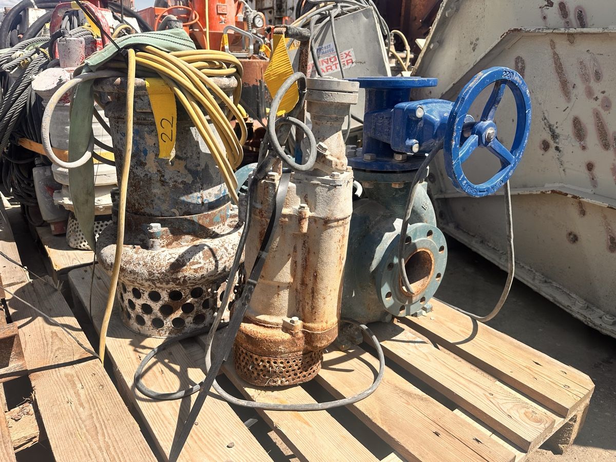 Pompe & Parti di ricambio: Schmutz Wasserpumpe – Usato da lyssach venduto da brax2019 2