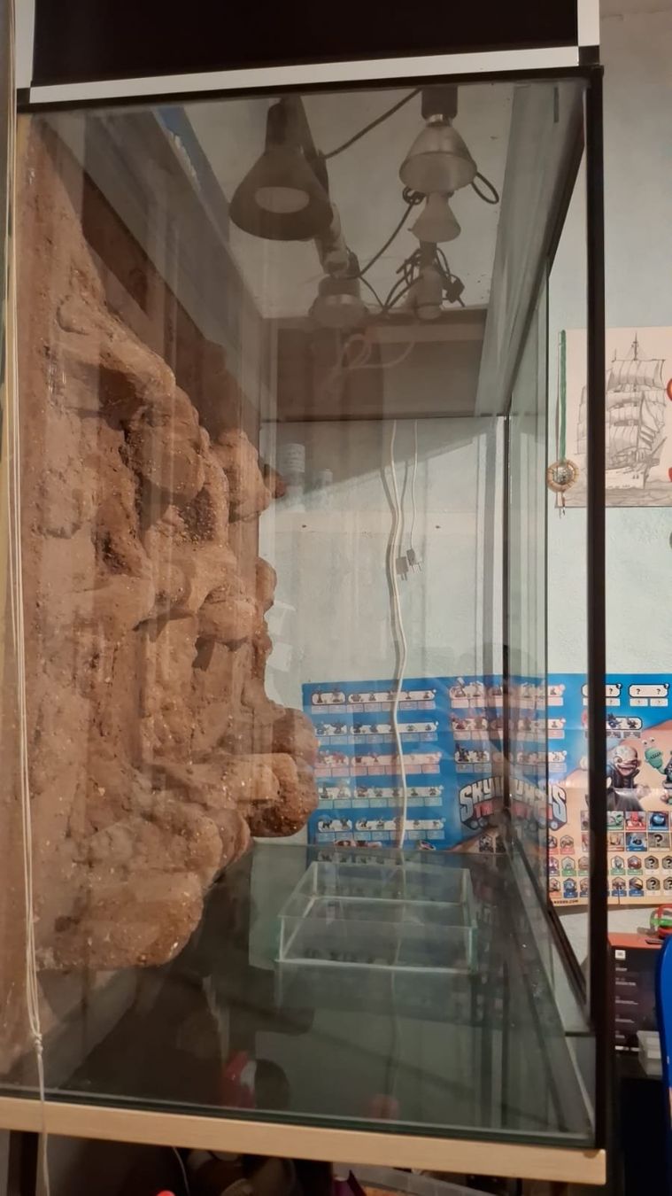 Terrario: TERRARIUM in Wädenswil – Usato da Kriens venduto da Tatzitus 1