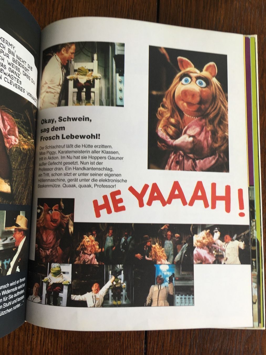 Bücher: Die Muppets erobern Hollywood – Gebraucht aus Basel von Chamisso 3