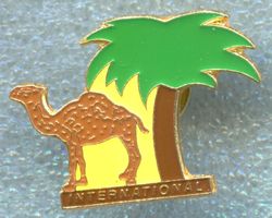 CAMEL  INTERNATIONAL