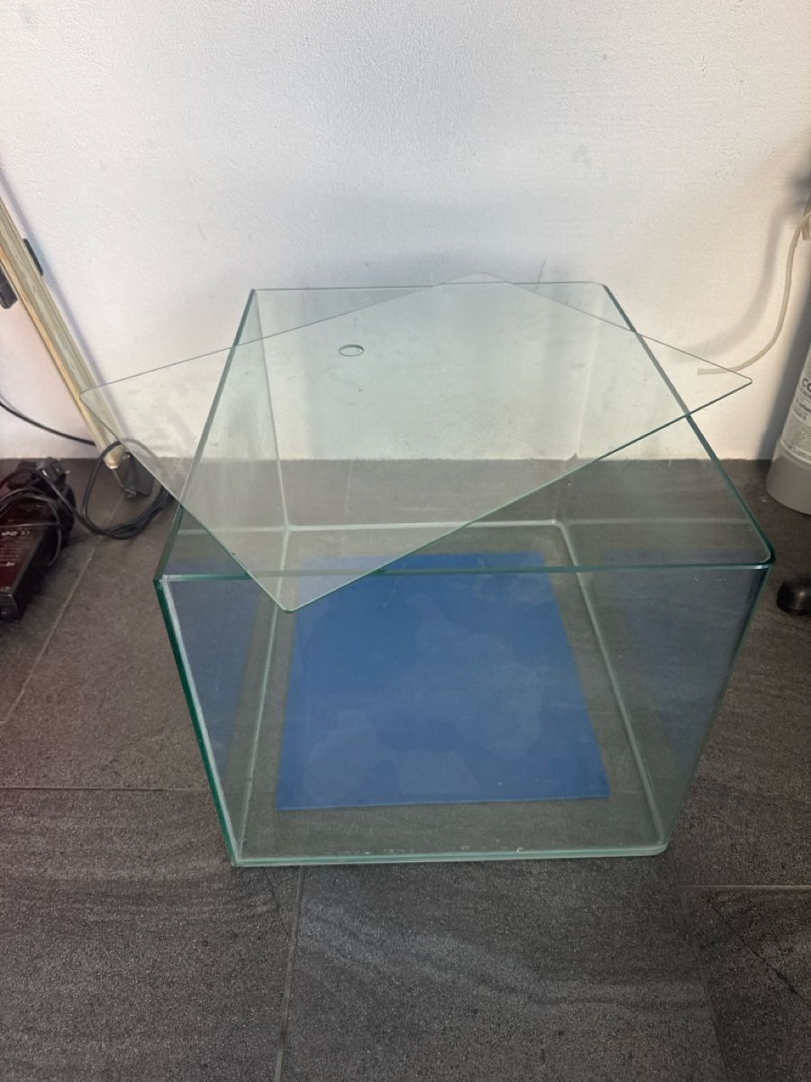 Acquari: Dennerle Cube 55L – Usato da Niedergösgen venduto da bek_w6hm