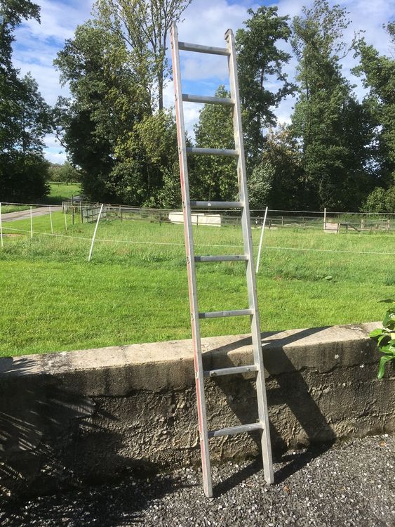 Aluleiter 8 Sprossen Kaufen auf Ricardo