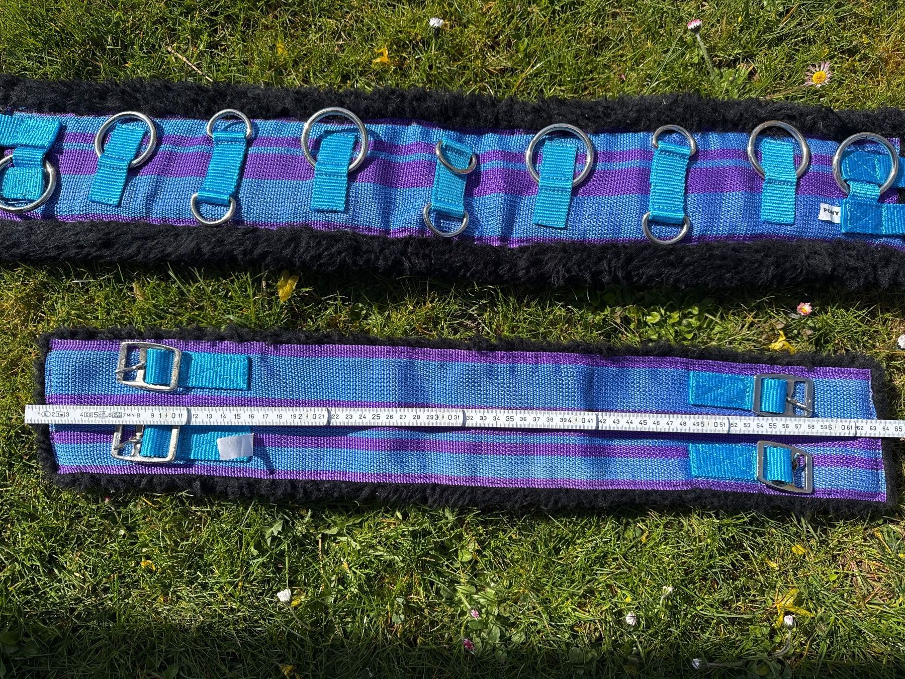 Gürtel: Longiergurt Pony, violet/blau – Gebraucht aus Elsau von CTN20 2