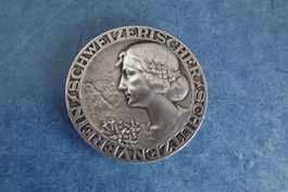 Schweizirischer Schützenverein  Silber 925  / 20 gr.
