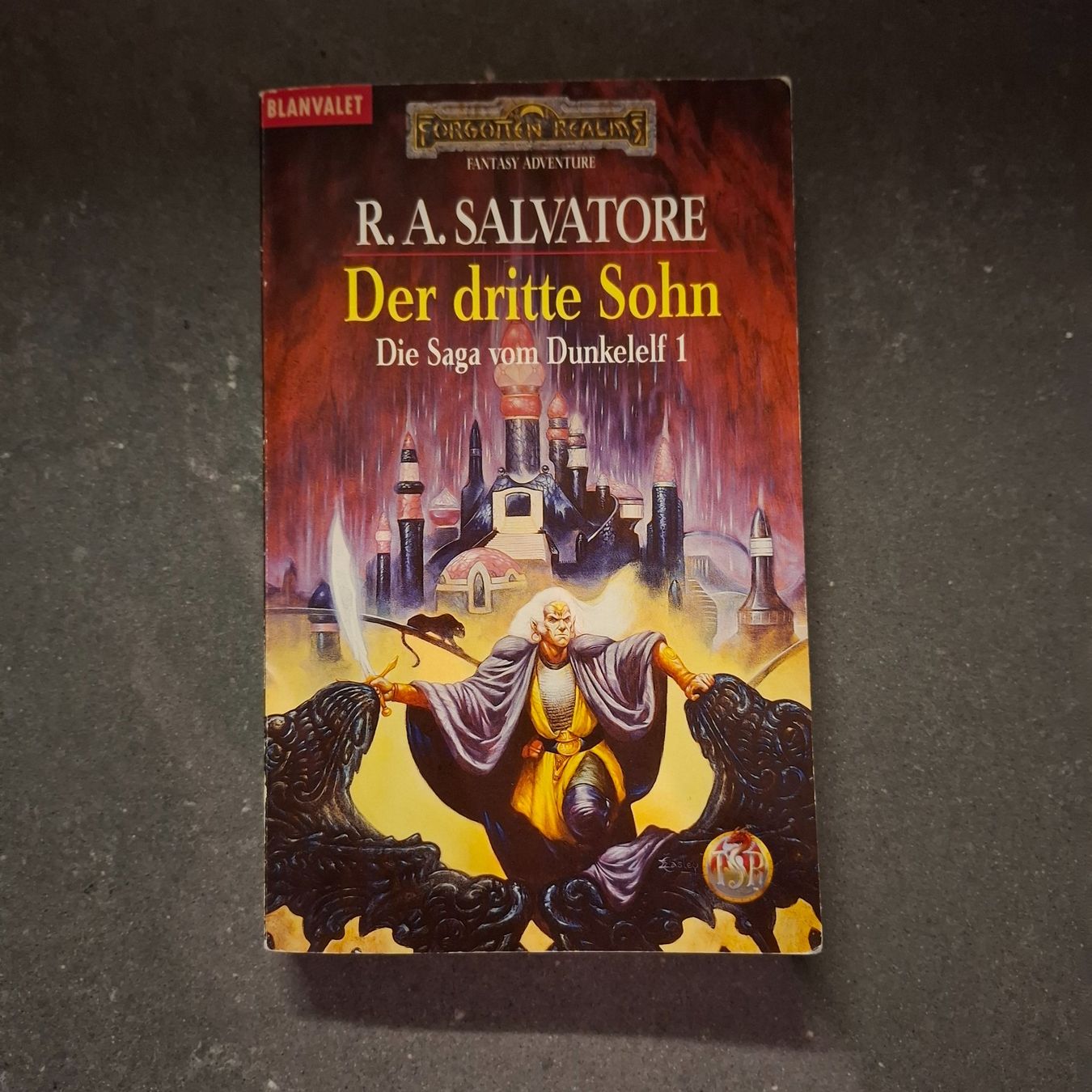 Bücher: R. A. SALVATORE 'Der dritte Sohn' – Gebraucht aus Hombrechtikon von Tinea82