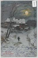 Viel Glück zum Neuen Jahre! Winternacht