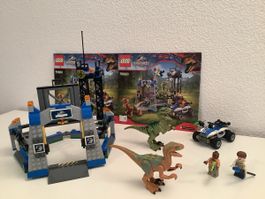 Lego Jurassic World Raptor Escape 75920 von 2015 🚨!RAR!