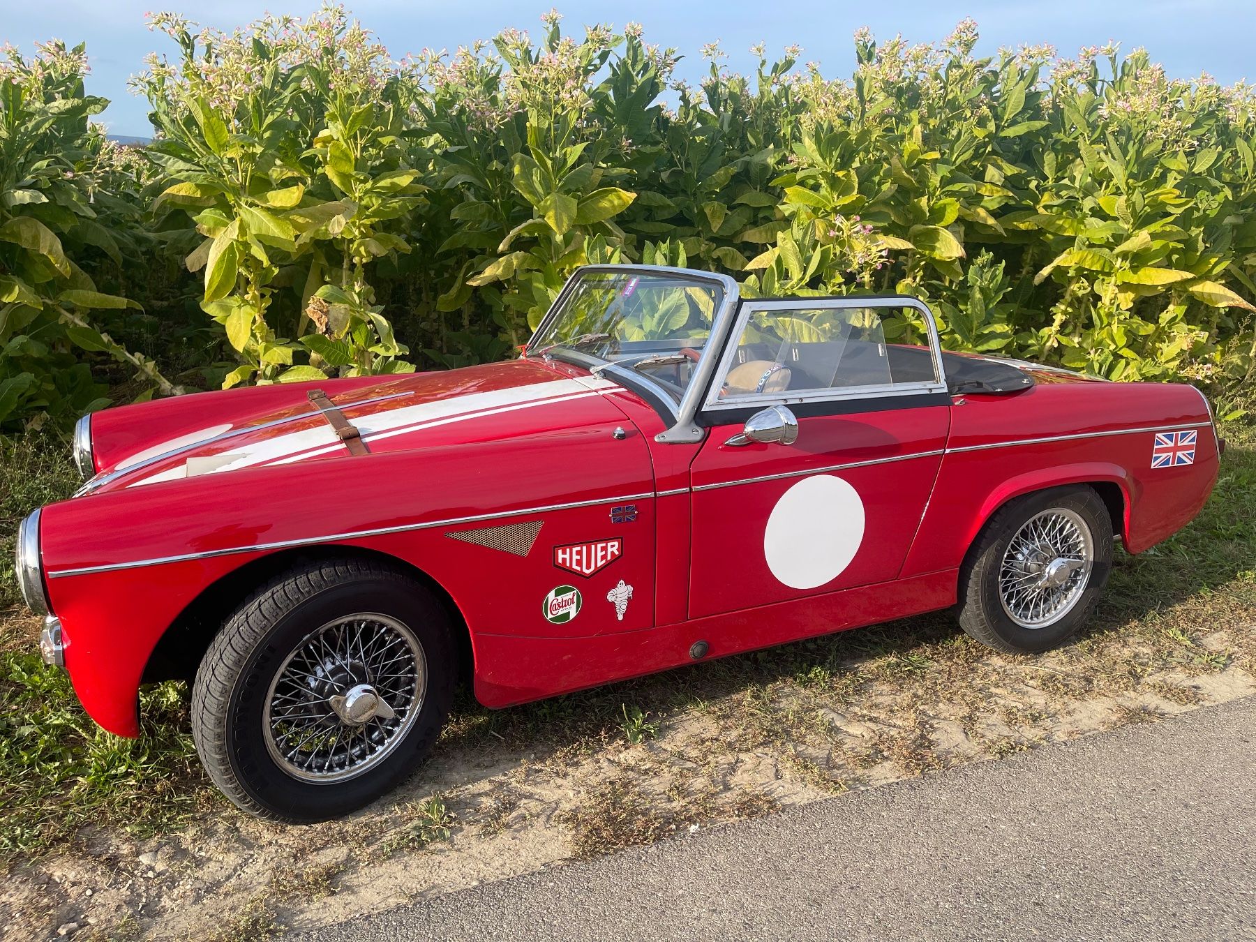 MG Autos: MG Midget 1963 Mk1 Oldtimer Veteran Retro look – D'occasion à Flaach par Alphae 6