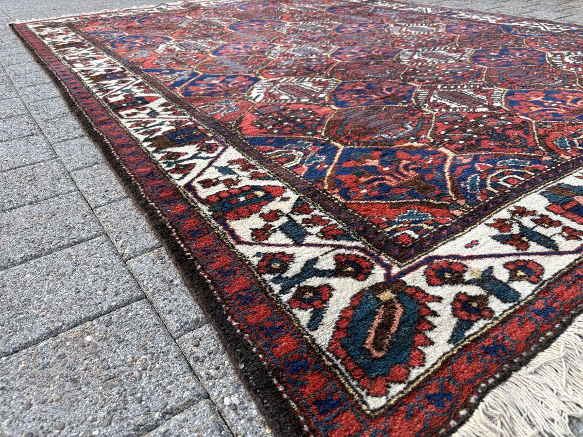 Tappeti: Grosser Bakhtiar - handgeknüpfter Perserteppich – Usato da Bennau venduto da Mayer_Carpets 5