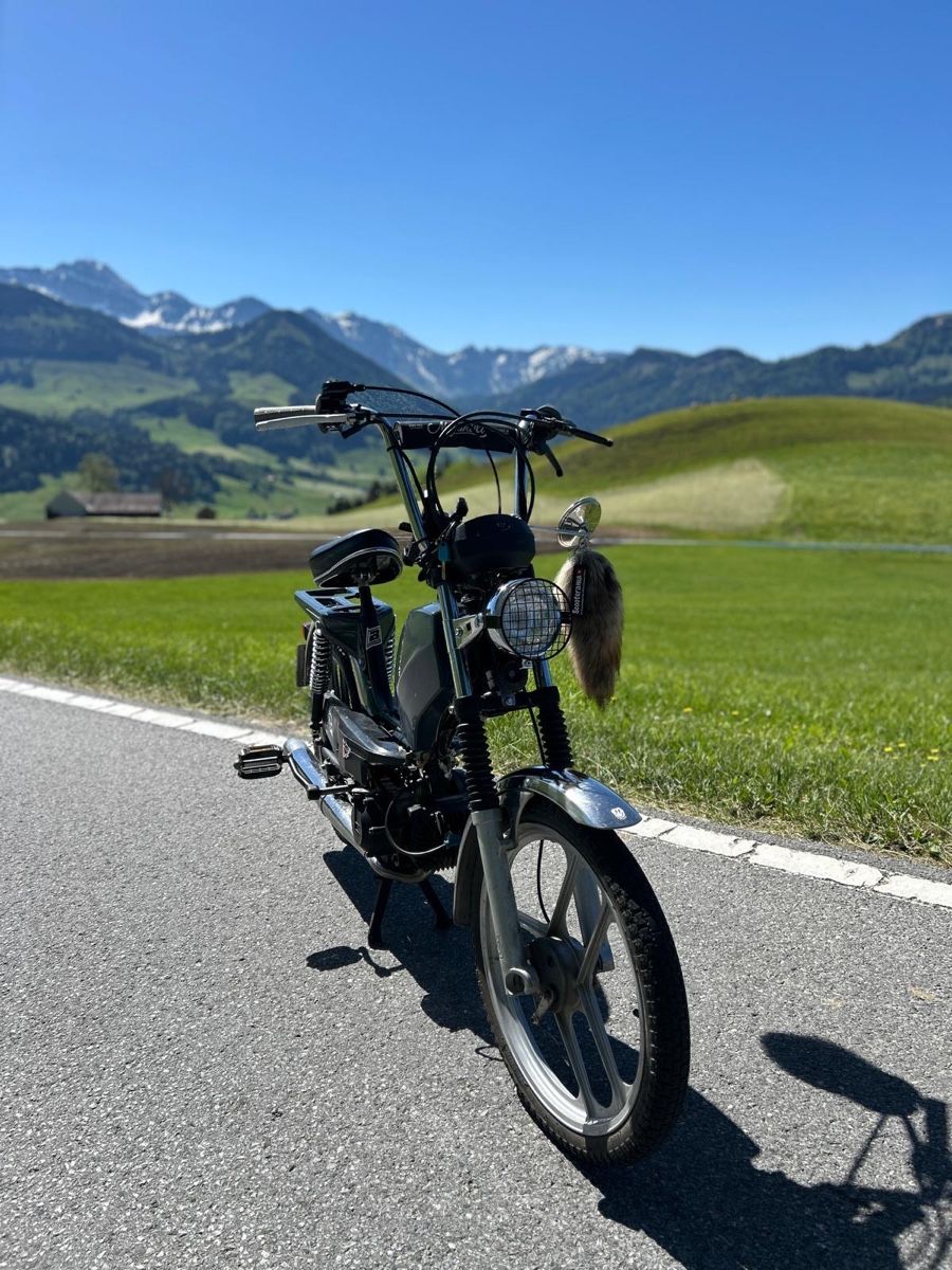 Pony Ciclomotori: Pony GTX 521 – Usato da Eschlikon TG venduto da MaEl_G