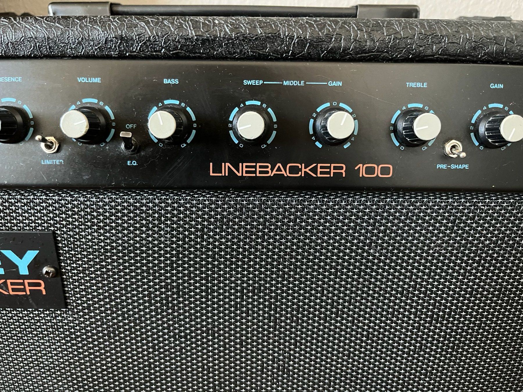 Laney Amplificatori: Ampli Basse Laney Linebacker 100 – Usato da Attalens venduto da dcl3rc99 2