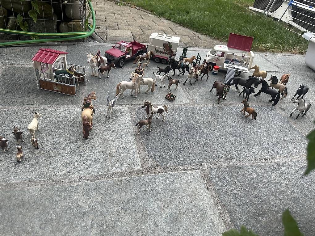 Schleich Giocattoli: 32 Schleichpferde mit Zubehör – Usato da Ermenswil venduto da Wou77