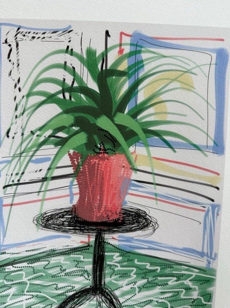 Foto & Immagini: David Hockney: Untiled XXX/200 – Nuovo (secondo la descrizione) da Meilen venduto da Smgdesign 5