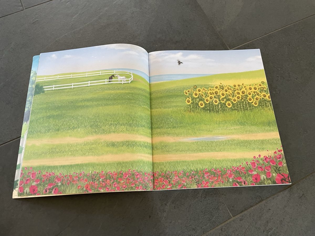 Libri: Stickerbuch – Usato da Balgach venduto da sei_s6d7 3